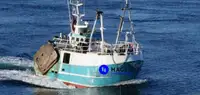 WETFISH / SHRIM TRAWLER