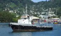 1994 Tug - Twin Screw For Sale