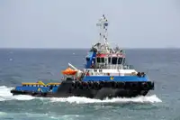 CM0729 Damen Stan Tug AHTS 5000 HP/70 TBP/2010 BLT