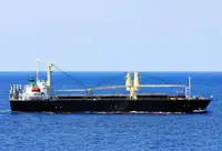 FOR SALE: 11,730 DWT Tweendecker 1995 Japan Built | CM1135