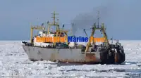 FACTORY TRAWLER 2000 DWT FOR SALE