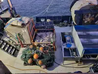 FRESH FISH STERN TRAWLER